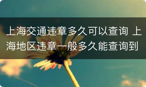 上海交通违章多久可以查询 上海地区违章一般多久能查询到?