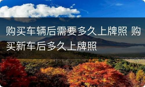 购买车辆后需要多久上牌照 购买新车后多久上牌照