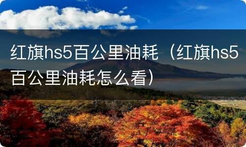 红旗hs5百公里油耗（红旗hs5百公里油耗怎么看）