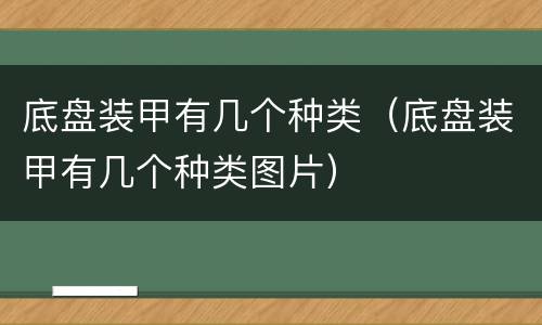 底盘装甲有几个种类（底盘装甲有几个种类图片）