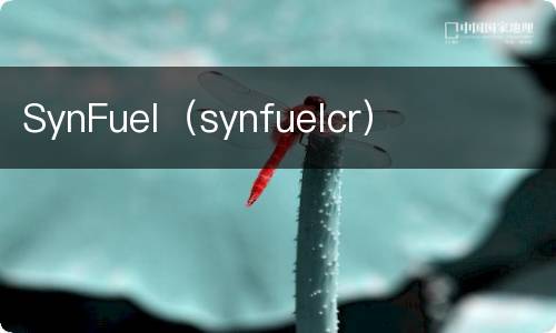 SynFuel（synfuelcr）