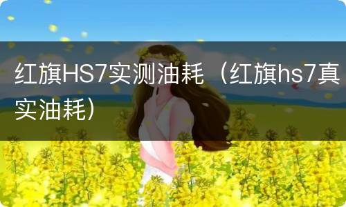 红旗HS7实测油耗（红旗hs7真实油耗）