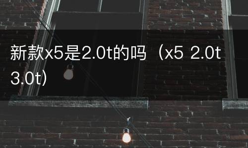 新款x5是2.0t的吗（x5 2.0t 3.0t）