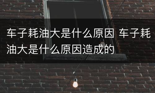 车子耗油大是什么原因 车子耗油大是什么原因造成的