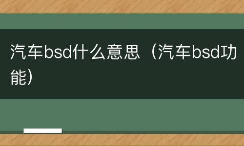 汽车bsd什么意思（汽车bsd功能）