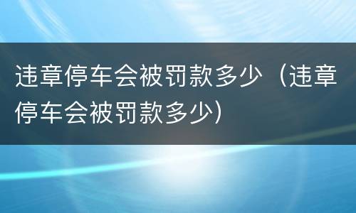 违章停车会被罚款多少（违章停车会被罚款多少）