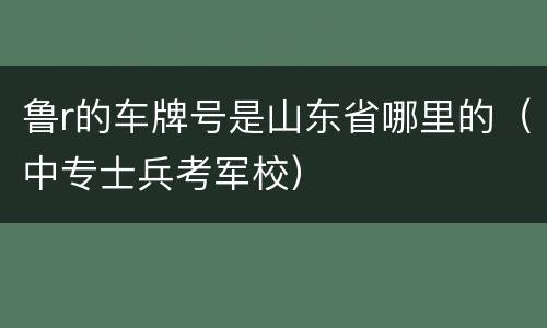 鲁r的车牌号是山东省哪里的（中专士兵考军校）