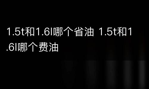 1.5t和1.6l哪个省油 1.5t和1.6l哪个费油