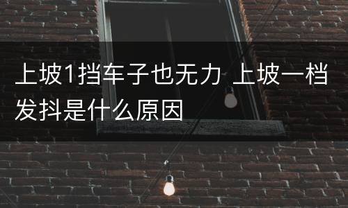 上坡1挡车子也无力 上坡一档发抖是什么原因