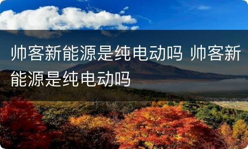 帅客新能源是纯电动吗 帅客新能源是纯电动吗