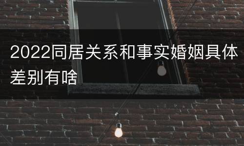 2022同居关系和事实婚姻具体差别有啥