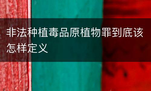 非法种植毒品原植物罪到底该怎样定义