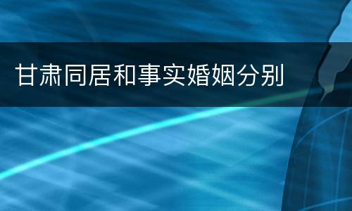 甘肃同居和事实婚姻分别