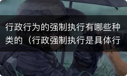 行政行为的强制执行有哪些种类的（行政强制执行是具体行政行为吗）