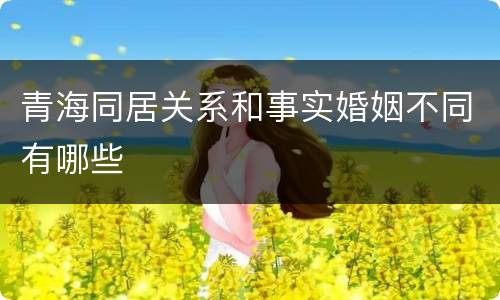 青海同居关系和事实婚姻不同有哪些