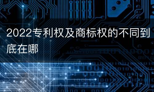 2022专利权及商标权的不同到底在哪