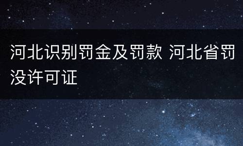 河北识别罚金及罚款 河北省罚没许可证