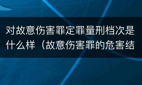 对故意伤害罪定罪量刑档次是什么样（故意伤害罪的危害结果）