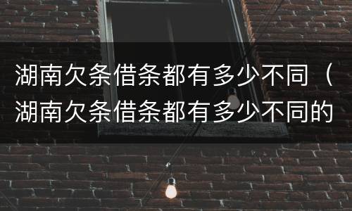 湖南欠条借条都有多少不同（湖南欠条借条都有多少不同的）