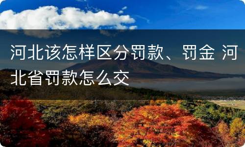 河北该怎样区分罚款、罚金 河北省罚款怎么交