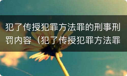 犯了传授犯罪方法罪的刑事刑罚内容（犯了传授犯罪方法罪的刑事刑罚内容是）