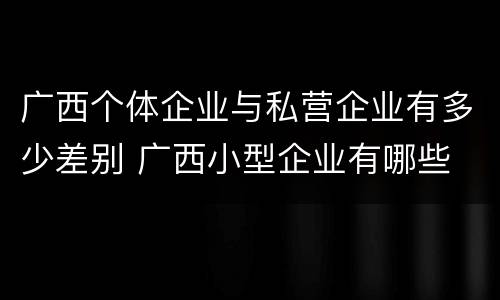 广西个体企业与私营企业有多少差别 广西小型企业有哪些