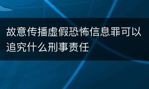 故意传播虚假恐怖信息罪可以追究什么刑事责任