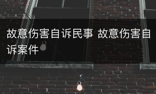 故意伤害自诉民事 故意伤害自诉案件