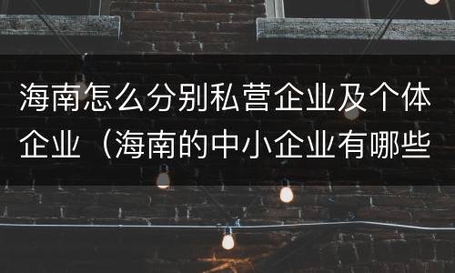 海南怎么分别私营企业及个体企业（海南的中小企业有哪些）