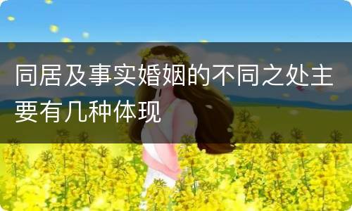 同居及事实婚姻的不同之处主要有几种体现