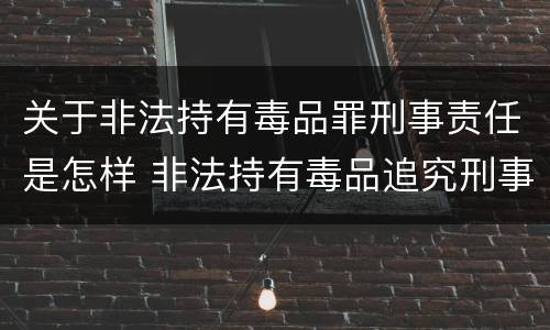 关于非法持有毒品罪刑事责任是怎样 非法持有毒品追究刑事责任吗