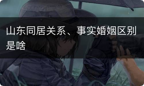 山东同居关系、事实婚姻区别是啥
