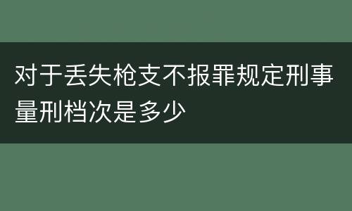 对于丢失枪支不报罪规定刑事量刑档次是多少