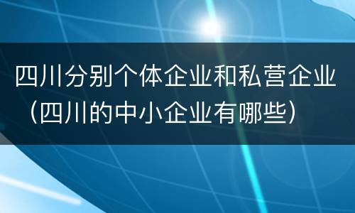 四川分别个体企业和私营企业（四川的中小企业有哪些）