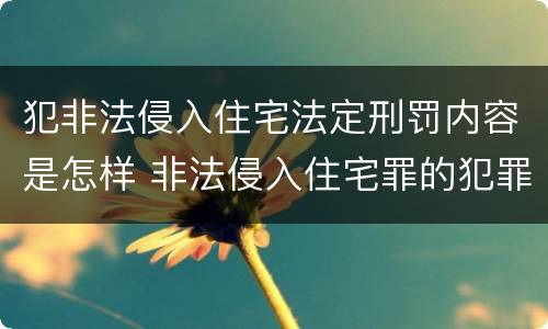 犯非法侵入住宅法定刑罚内容是怎样 非法侵入住宅罪的犯罪构成