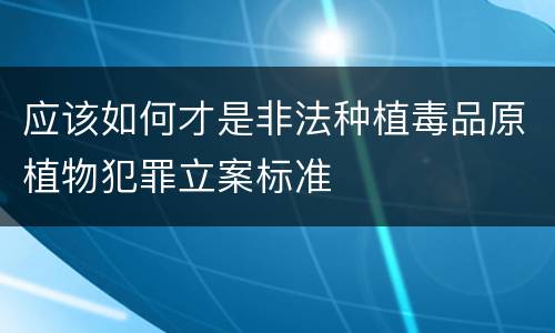 应该如何才是非法种植毒品原植物犯罪立案标准