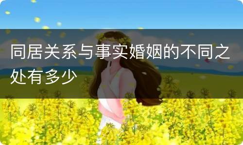 同居关系与事实婚姻的不同之处有多少