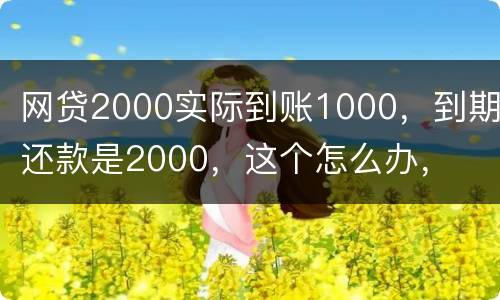 网贷2000实际到账1000，到期还款是2000，这个怎么办，