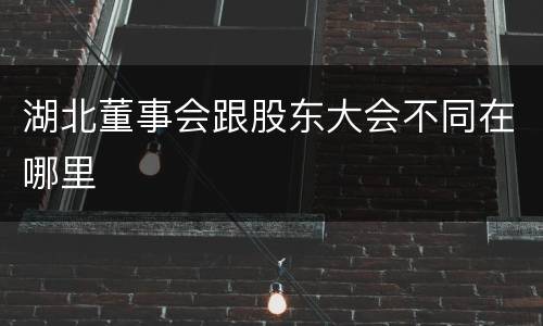 湖北董事会跟股东大会不同在哪里