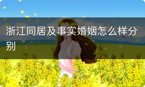 浙江同居及事实婚姻怎么样分别