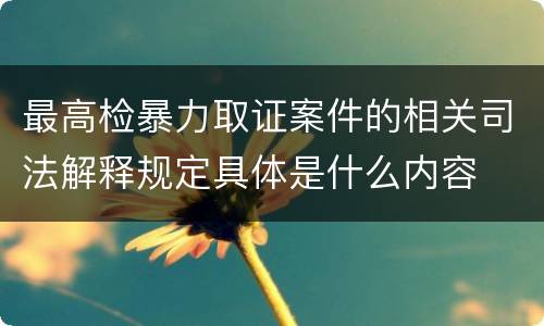 最高检暴力取证案件的相关司法解释规定具体是什么内容