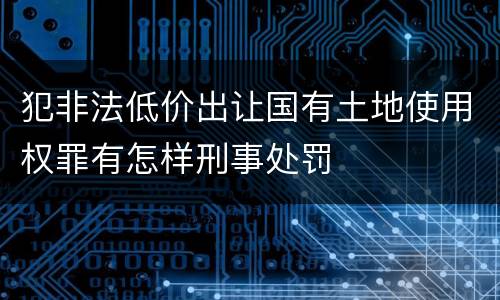 犯非法低价出让国有土地使用权罪有怎样刑事处罚