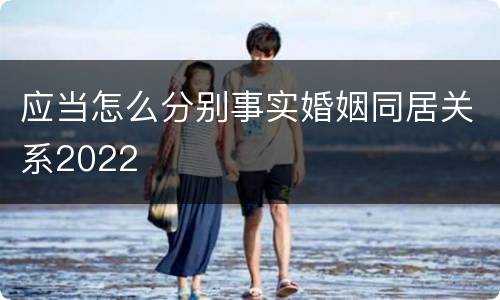 应当怎么分别事实婚姻同居关系2022