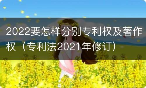 2022要怎样分别专利权及著作权（专利法2021年修订）