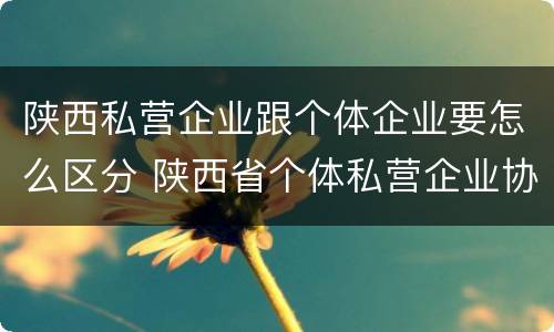 陕西私营企业跟个体企业要怎么区分 陕西省个体私营企业协会