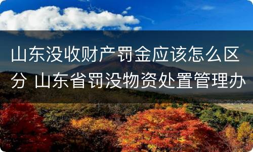 山东没收财产罚金应该怎么区分 山东省罚没物资处置管理办法