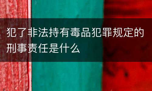 犯了非法持有毒品犯罪规定的刑事责任是什么