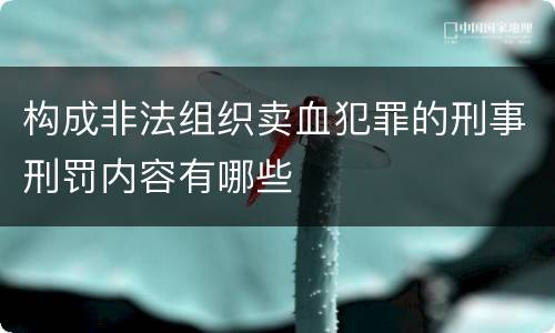 构成非法组织卖血犯罪的刑事刑罚内容有哪些