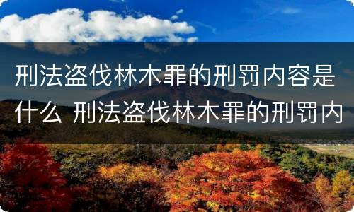 刑法盗伐林木罪的刑罚内容是什么 刑法盗伐林木罪的刑罚内容是什么呢