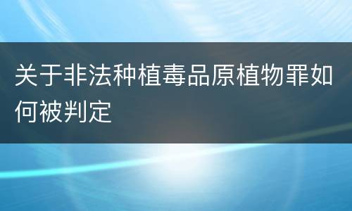 关于非法种植毒品原植物罪如何被判定